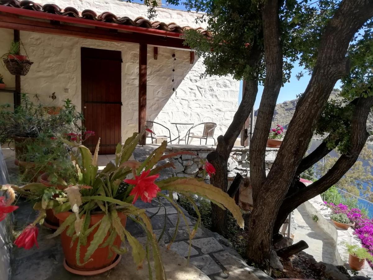 Villa Arbeli House à Mandraki  Extérieur photo