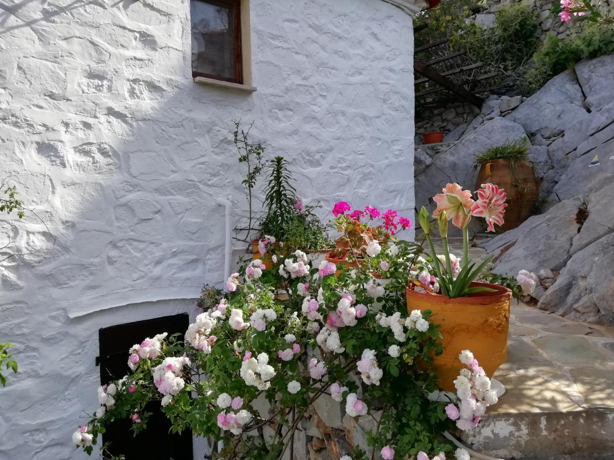 Villa Arbeli House à Mandraki  Extérieur photo